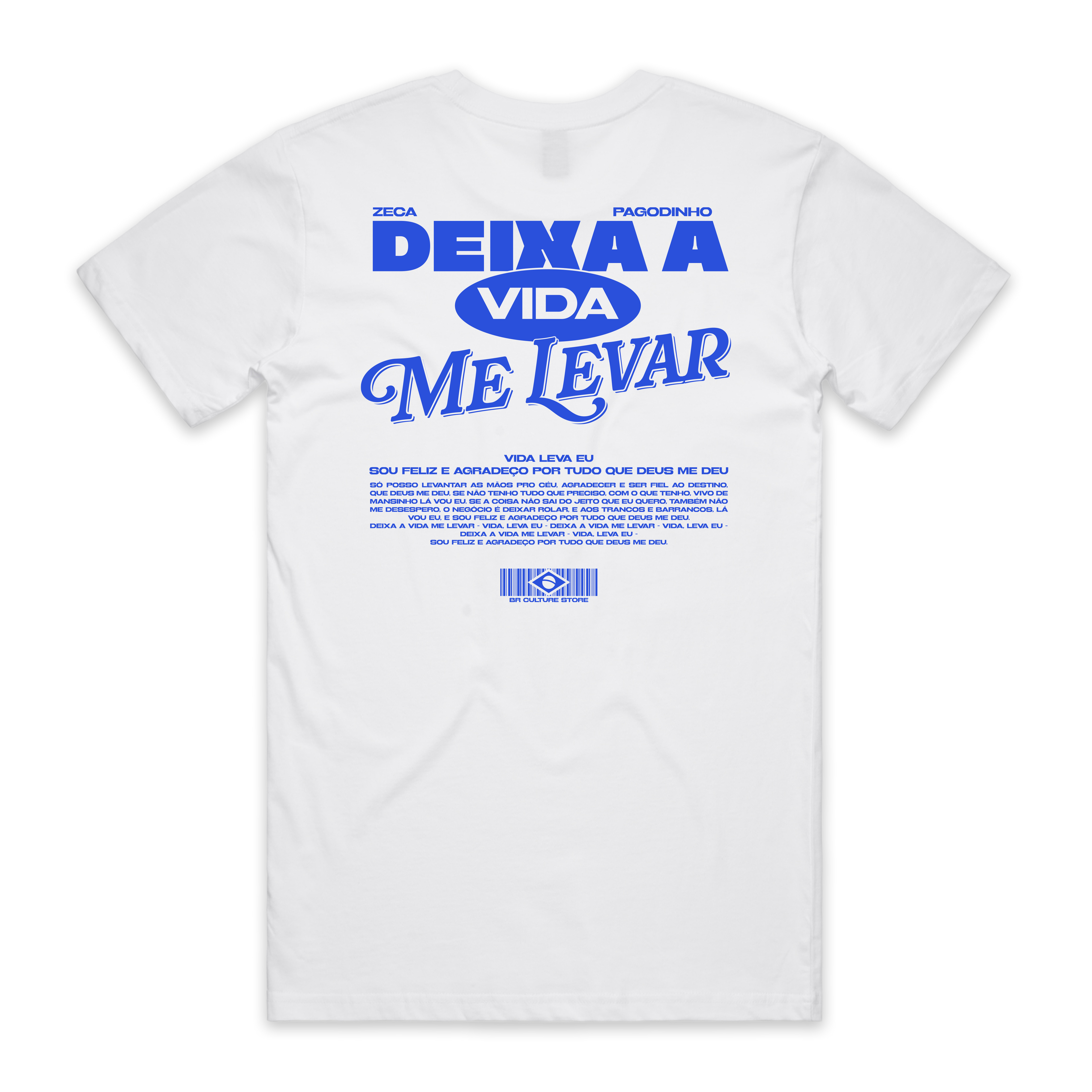 Deixa a vida me levar